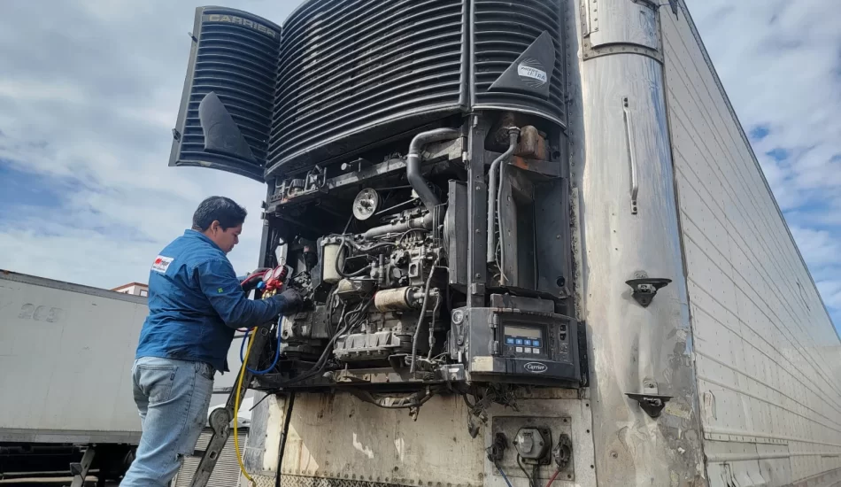 WhatsApp Image 2024-08-17 at 12.26.47 PM