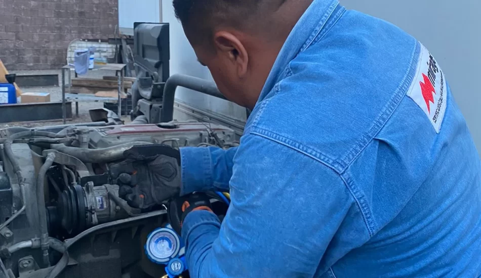 WhatsApp Image 2024-08-17 at 12.26.48 PM (1)