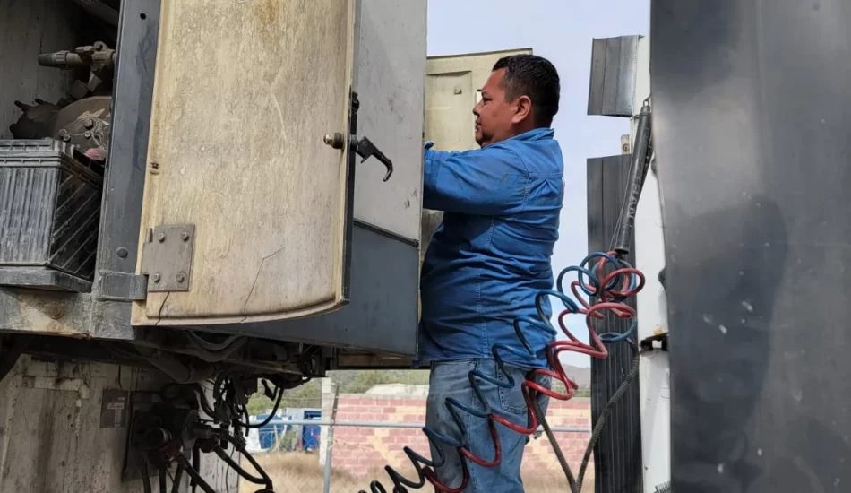 WhatsApp Image 2024-08-17 at 12.26.48 PM