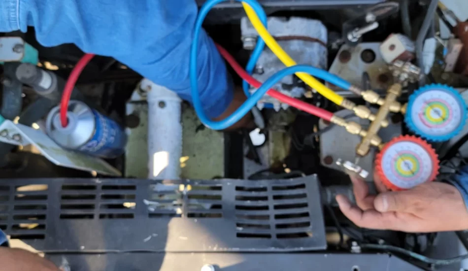 WhatsApp Image 2024-08-17 at 12.26.49 PM (1)