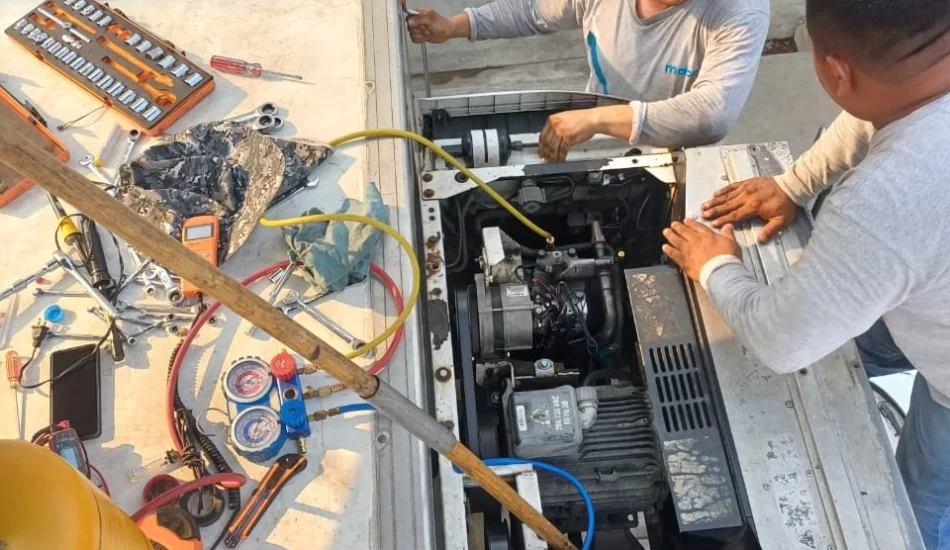 WhatsApp Image 2024-08-17 at 12.26.49 PM