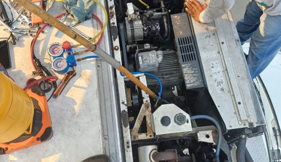 WhatsApp Image 2024-08-17 at 12.26.50 PM (3)