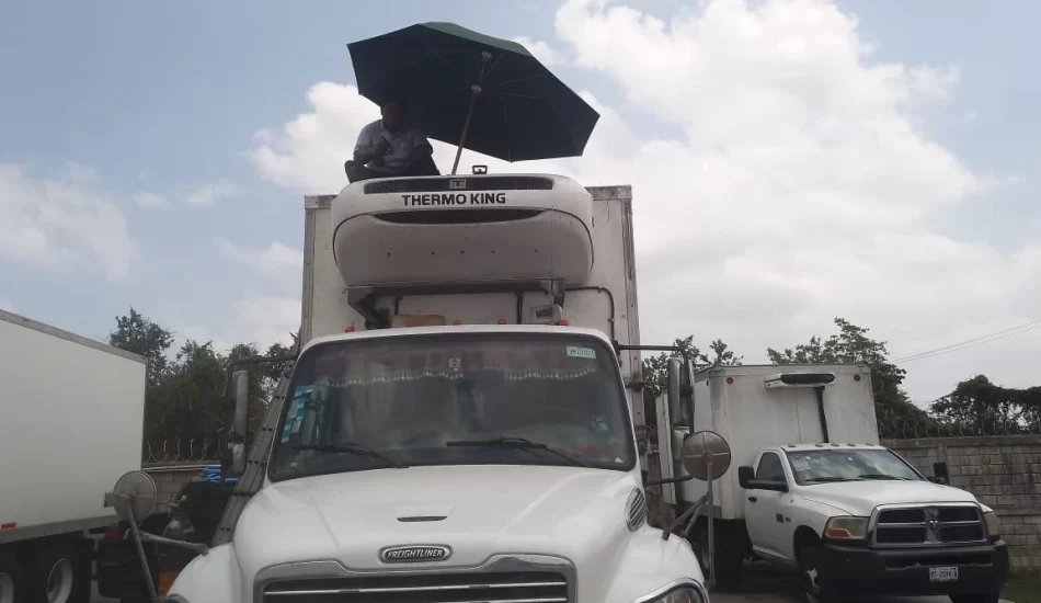 WhatsApp Image 2024-08-17 at 12.26.50 PM (4)