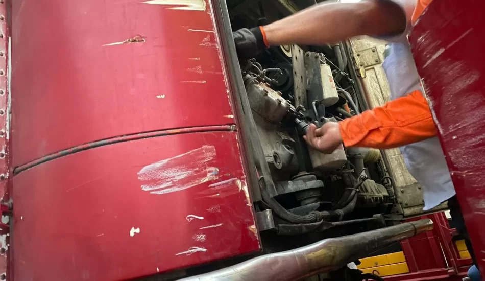 WhatsApp Image 2024-08-17 at 12.26.51 PM (1)