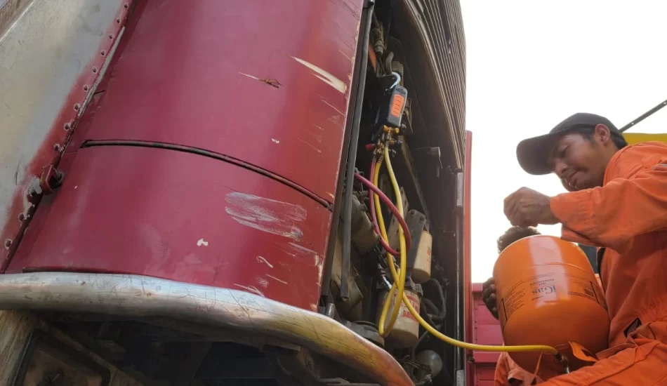 WhatsApp Image 2024-08-17 at 12.26.52 PM (2)