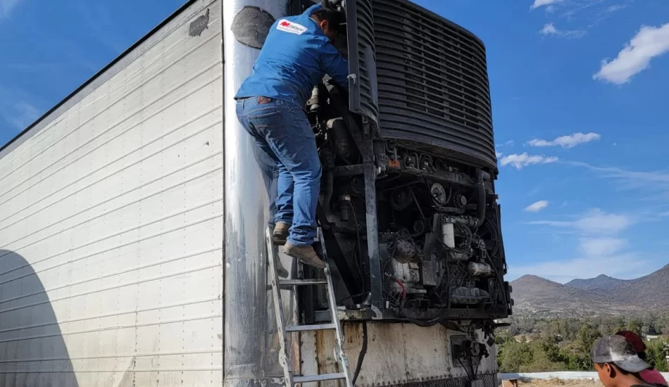 WhatsApp Image 2024-08-17 at 12.26.52 PM (3)