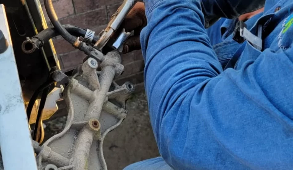 WhatsApp Image 2024-08-17 at 12.26.52 PM