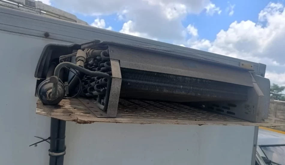 WhatsApp Image 2024-08-17 at 12.30.55 PM (1)