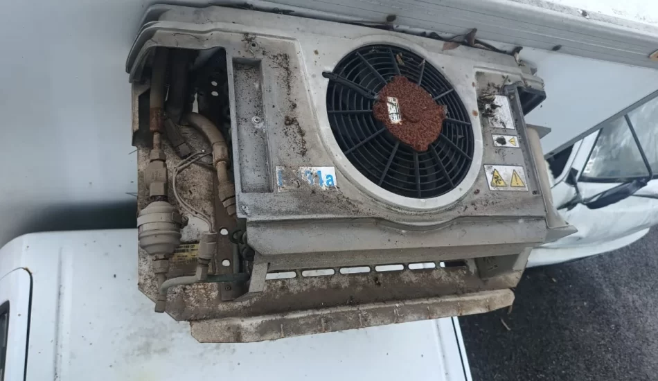 WhatsApp Image 2024-08-17 at 12.30.55 PM (2)