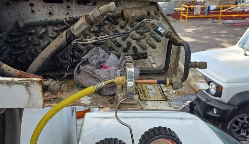 WhatsApp Image 2024-08-17 at 12.30.55 PM (4)