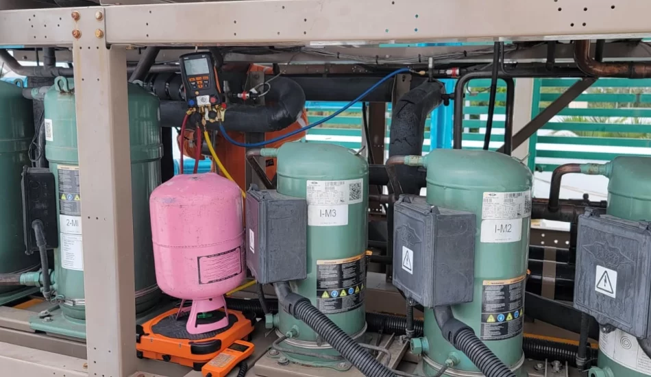 WhatsApp Image 2024-08-17 at 12.32.01 PM (1)