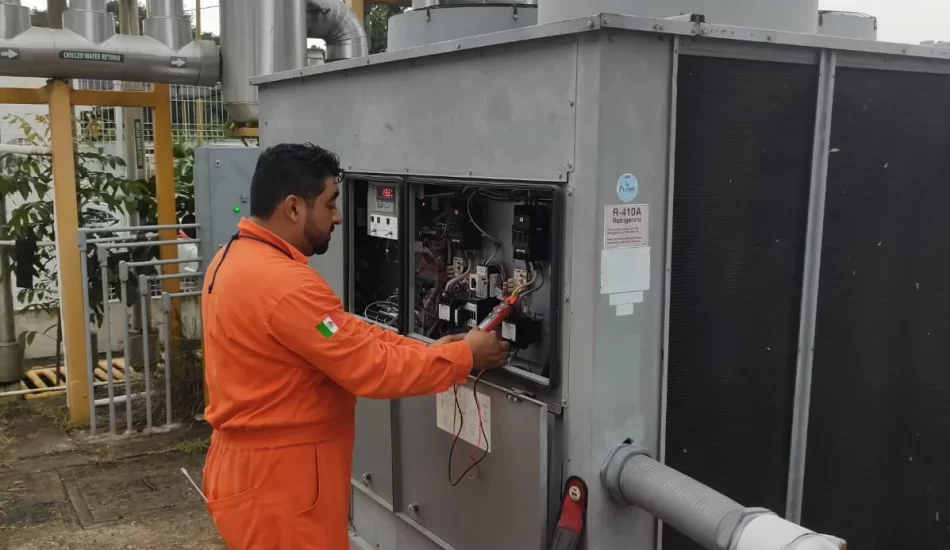 WhatsApp Image 2024-08-17 at 12.32.01 PM (3)