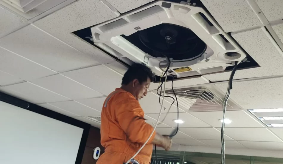 WhatsApp Image 2024-08-17 at 12.32.02 PM