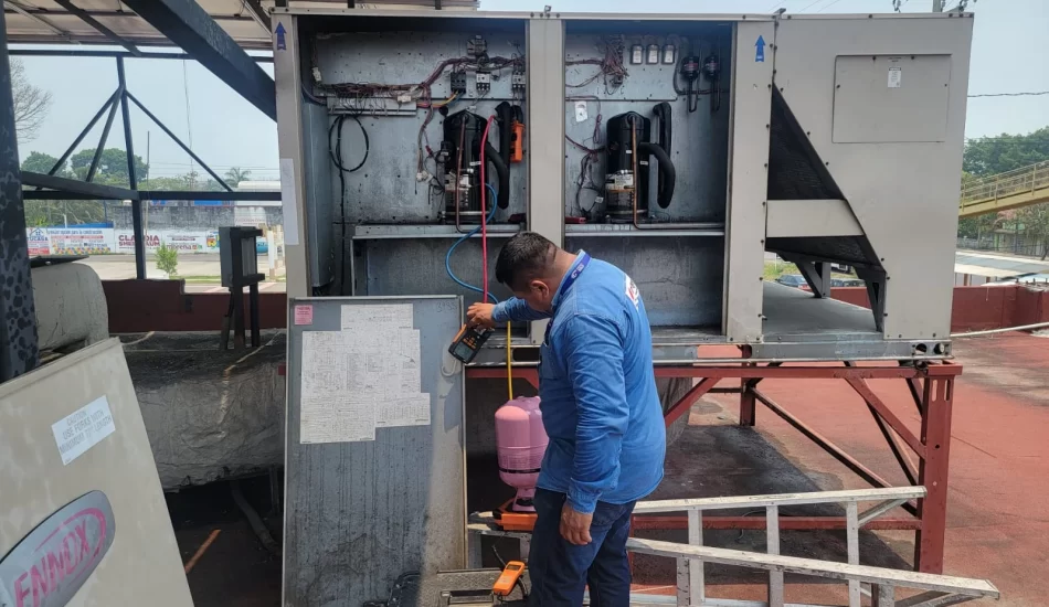 WhatsApp Image 2024-08-17 at 12.32.03 PM (1)