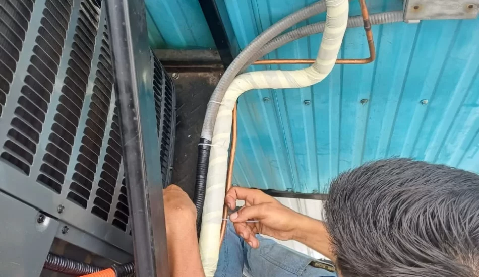 WhatsApp Image 2024-08-17 at 12.32.03 PM (2)