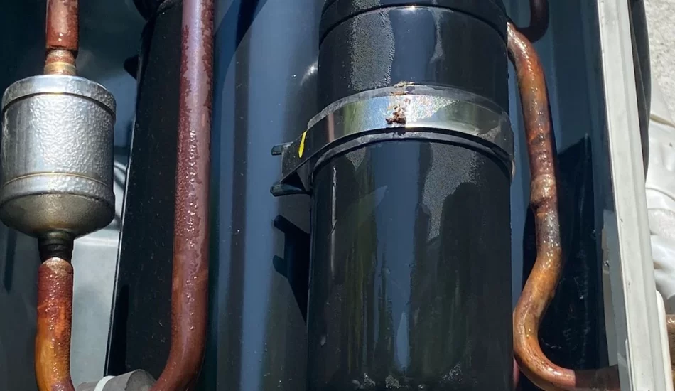 WhatsApp Image 2024-08-17 at 12.32.09 PM (2)