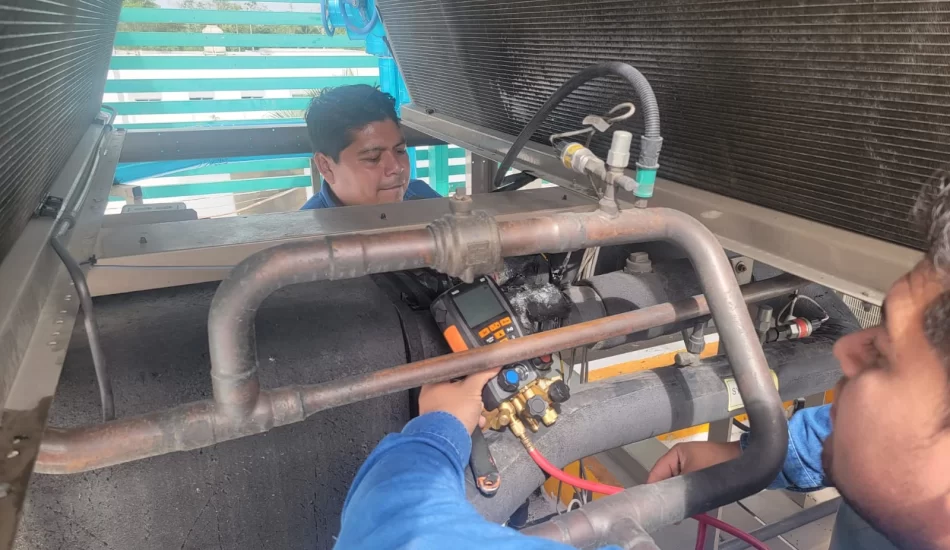 WhatsApp Image 2024-08-17 at 12.32.09 PM