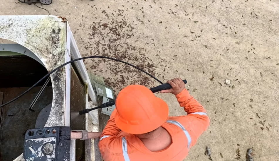 WhatsApp Image 2024-08-17 at 12.32.10 PM (2)