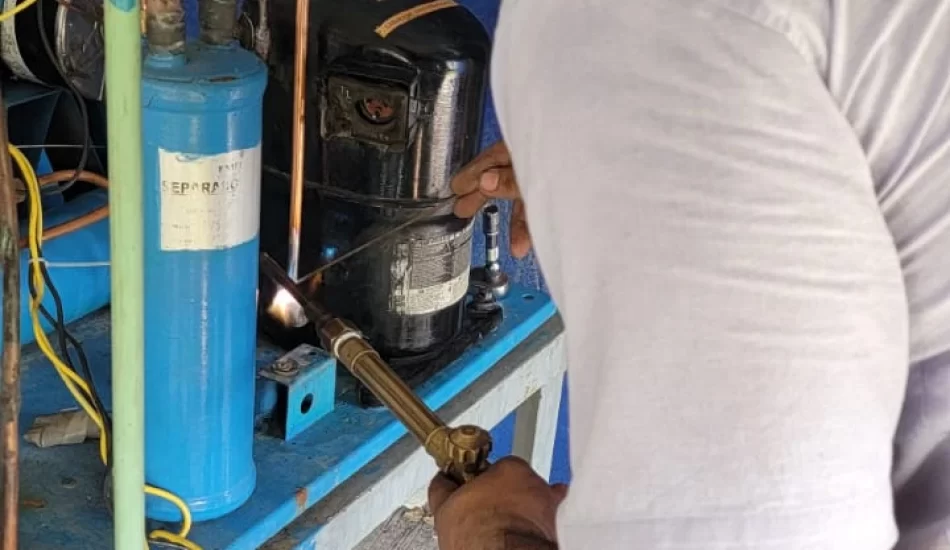 WhatsApp Image 2024-08-17 at 12.32.10 PM (3)