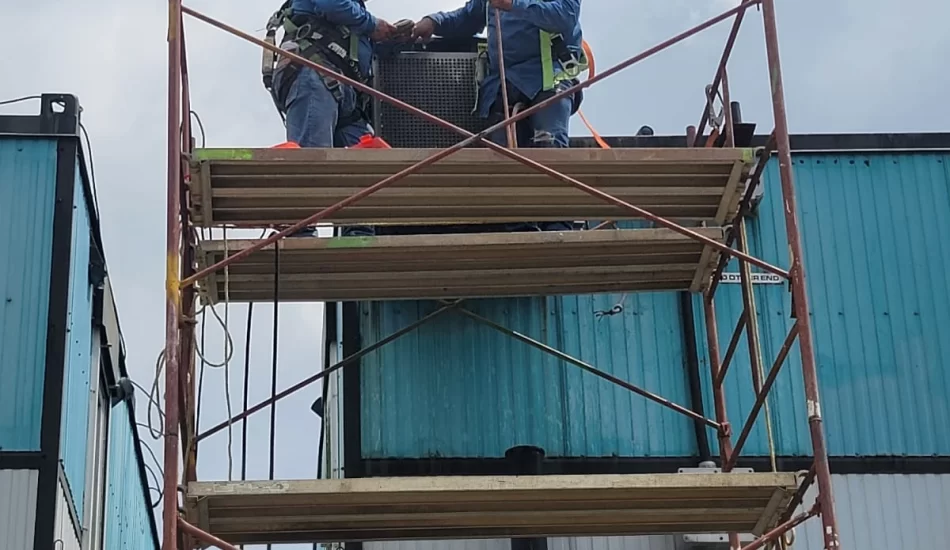 WhatsApp Image 2024-08-17 at 12.32.11 PM (3)