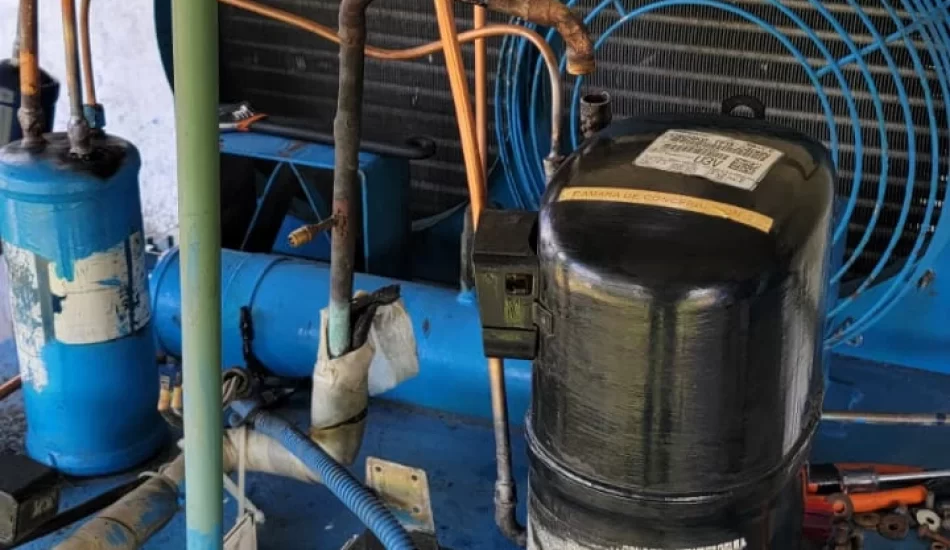 WhatsApp Image 2024-08-17 at 12.32.11 PM