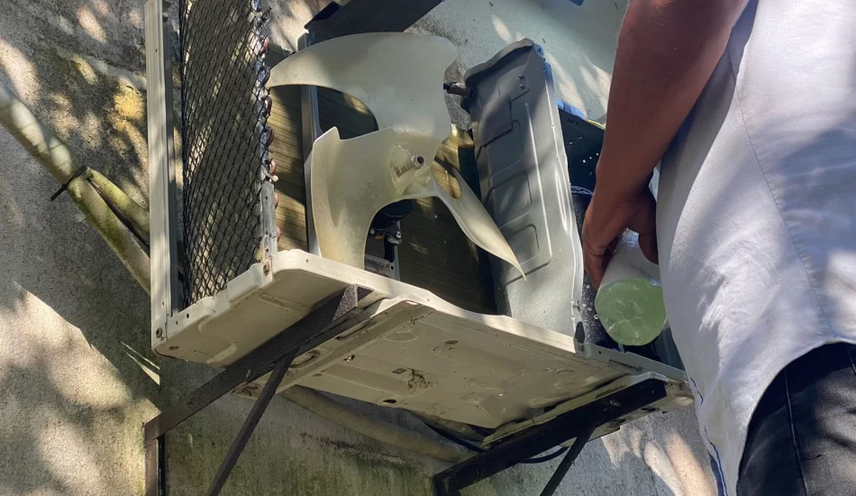 WhatsApp Image 2024-08-17 at 12.32.12 PM