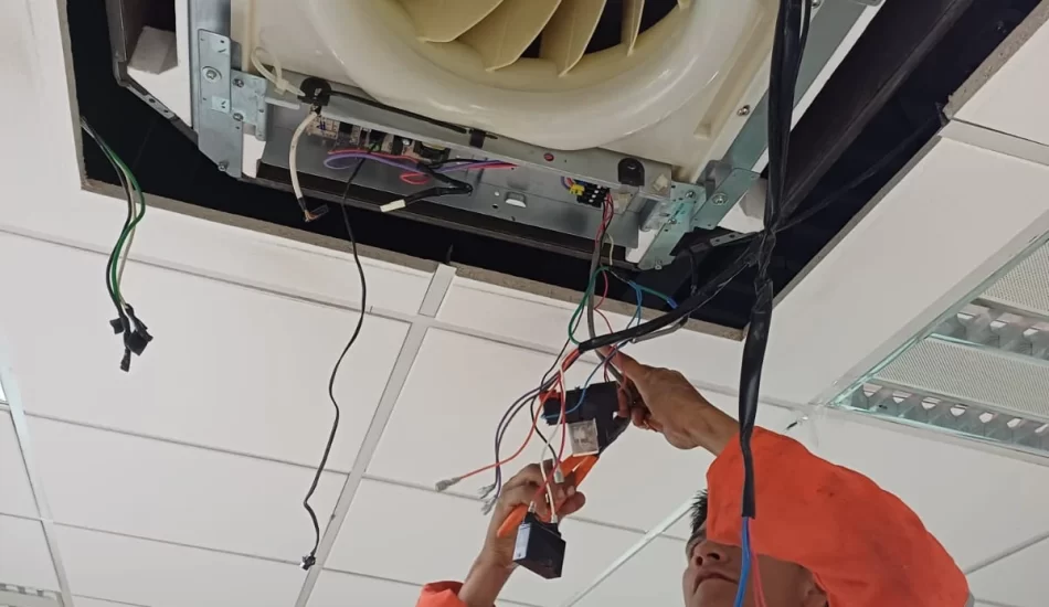 WhatsApp Image 2024-08-17 at 12.32.13 PM (1)