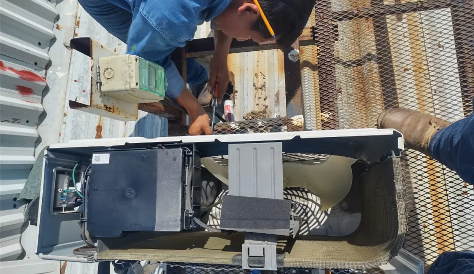 WhatsApp Image 2024-08-17 at 12.32.13 PM (2)