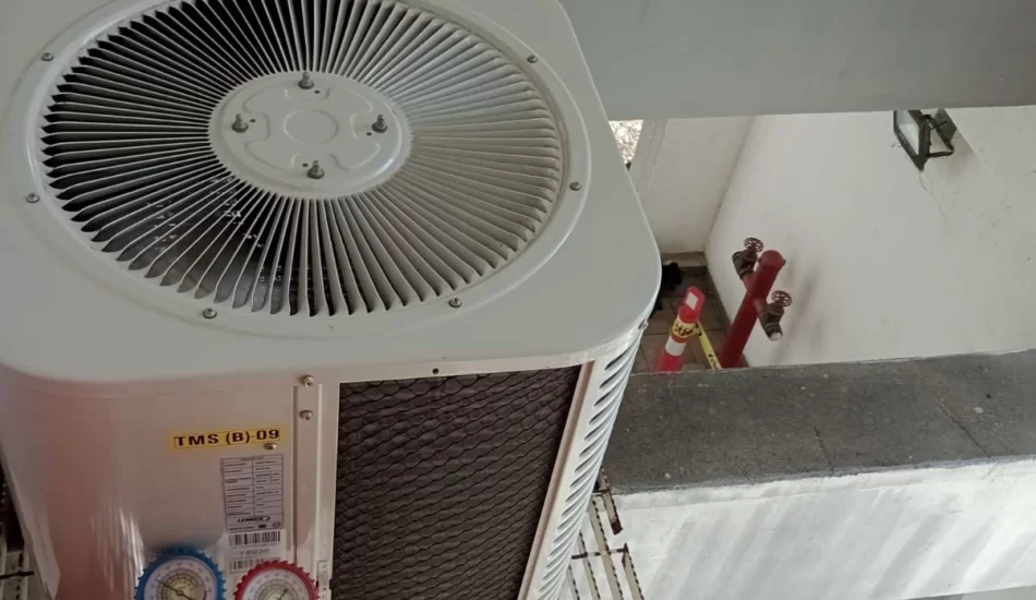 WhatsApp Image 2024-08-17 at 12.32.13 PM