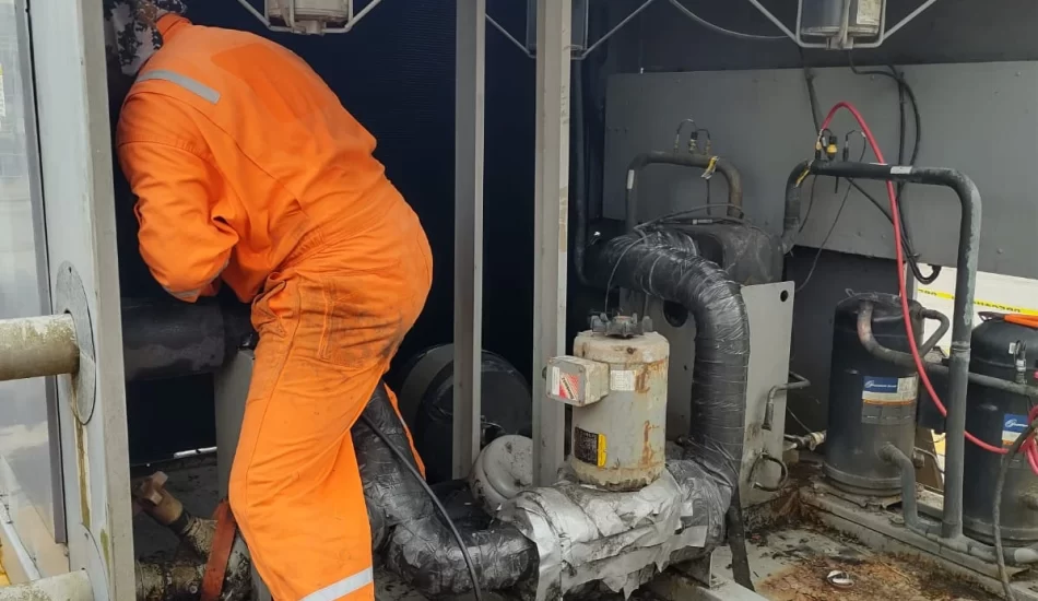 WhatsApp Image 2024-08-17 at 12.32.14 PM (1)