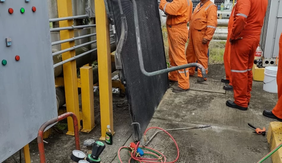 WhatsApp Image 2024-08-17 at 12.32.14 PM (2)