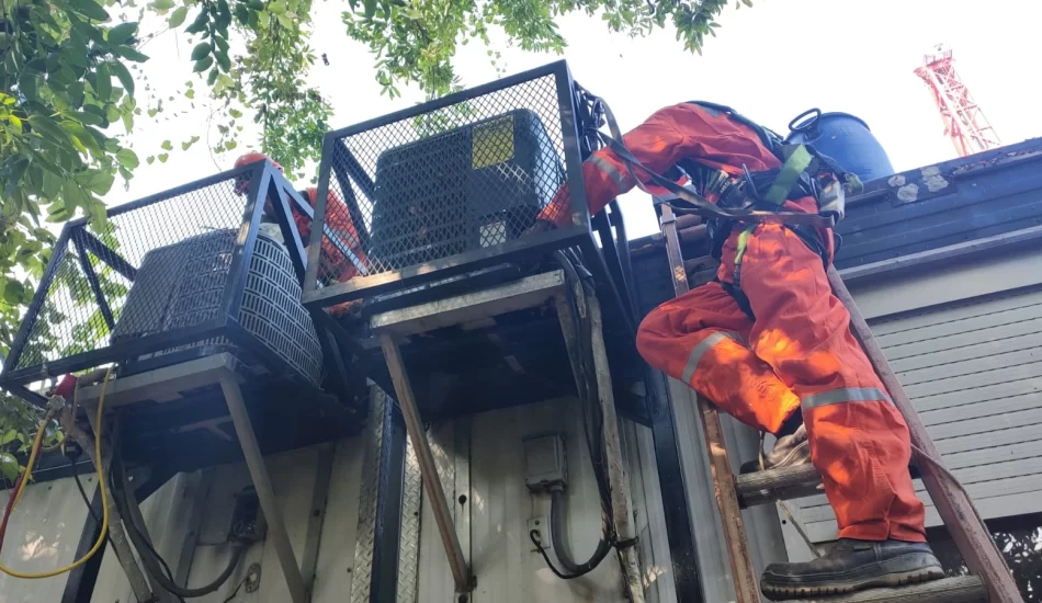 WhatsApp Image 2024-08-17 at 12.32.15 PM (3)