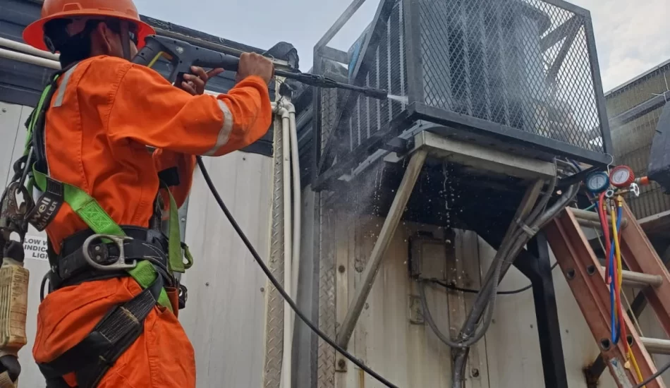 WhatsApp Image 2024-08-17 at 12.32.17 PM (1)