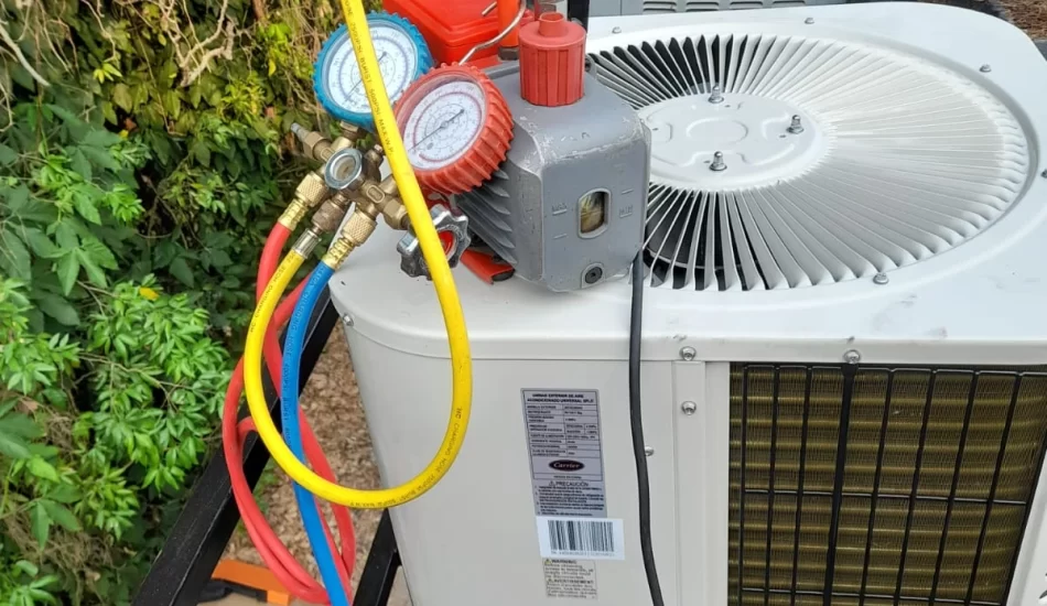 WhatsApp Image 2024-08-17 at 12.32.17 PM