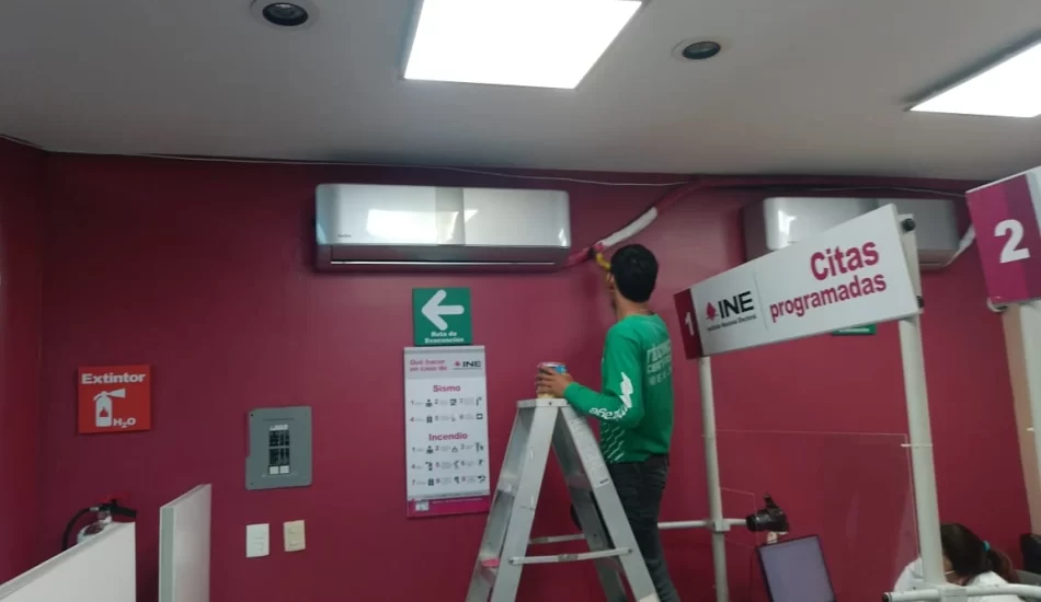 WhatsApp Image 2024-08-17 at 12.32.18 PM