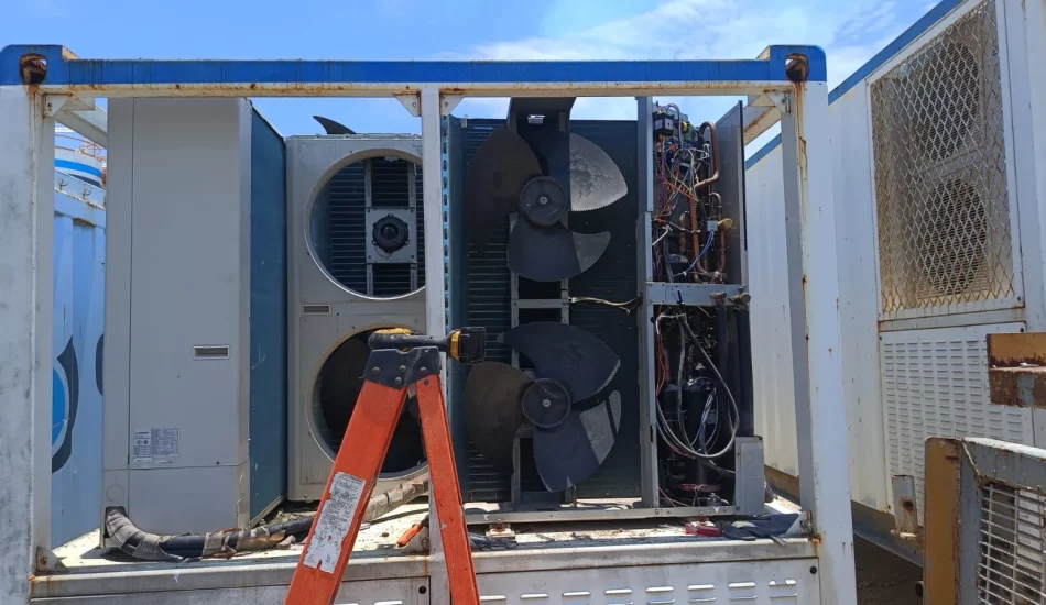 WhatsApp Image 2024-08-17 at 12.37.16 PM (1)