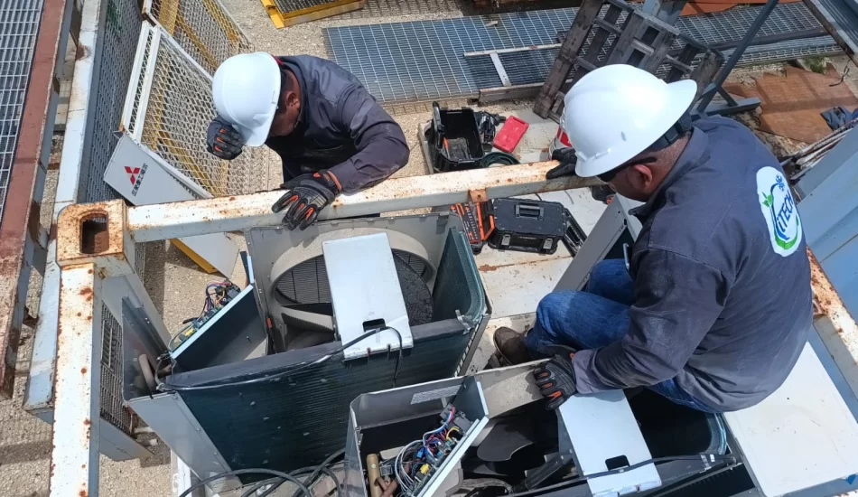 WhatsApp Image 2024-08-17 at 12.37.16 PM