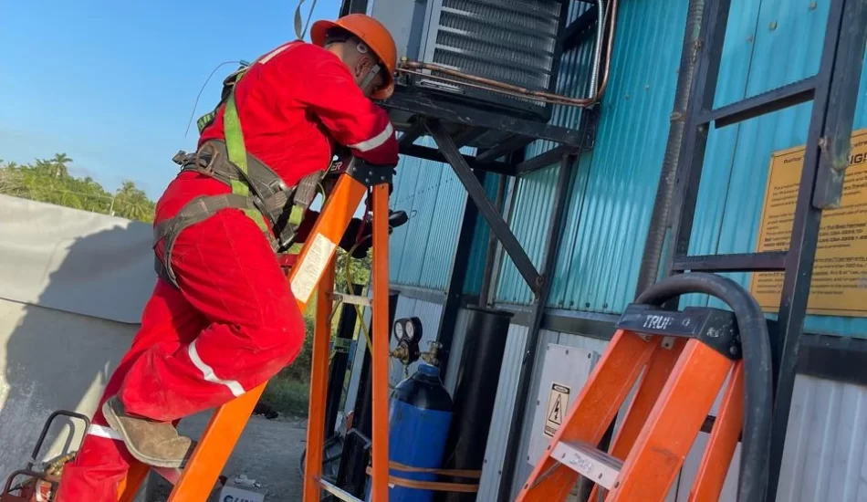 WhatsApp Image 2024-08-17 at 12.37.17 PM (1)