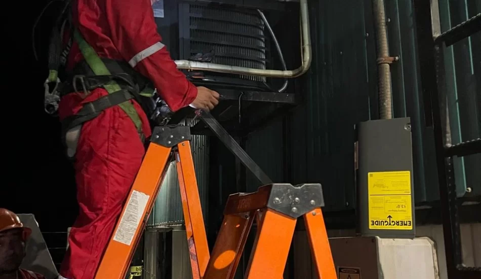 WhatsApp Image 2024-08-17 at 12.37.17 PM (2)