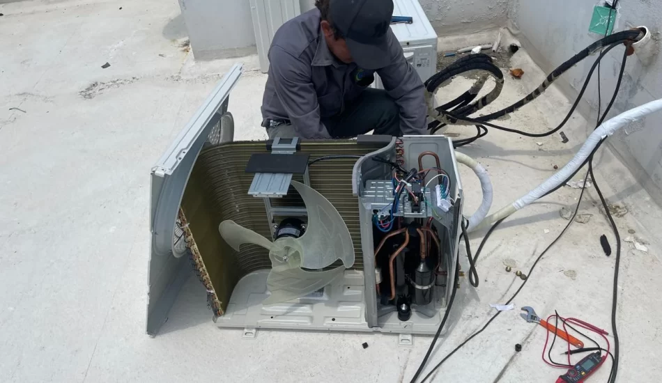 WhatsApp Image 2024-08-17 at 12.37.17 PM (4)